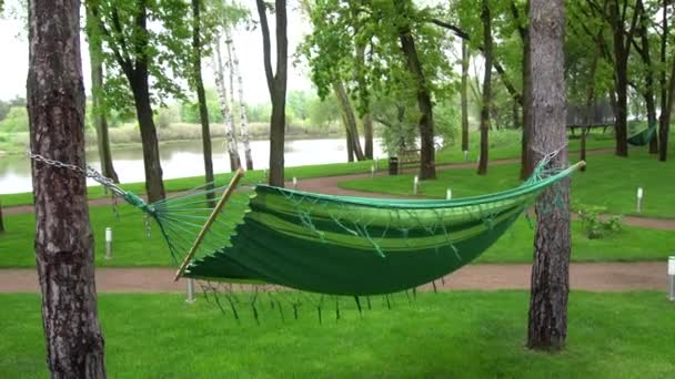 Hammock Hanging Between the Trees — Stockvideo