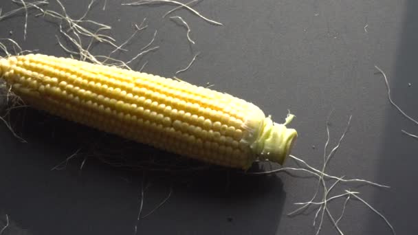 Oreja cruda de maíz sobre un fondo negro — Vídeo de stock