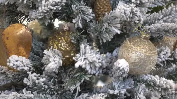 Karácsonyi labdák karácsonyfán — Stock videók