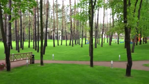 La pelouse entre les arbres avec une piscine — Video