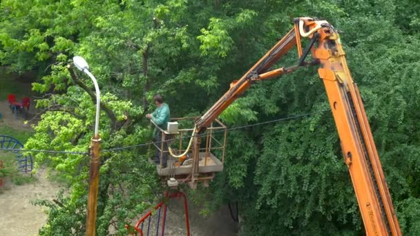 Arborista cortando una rama — Vídeos de Stock