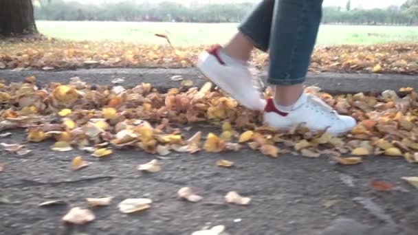 Caminando en el parque de otoño — Vídeo de stock