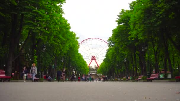 Menschen gehen im Zeitraffer durch den Park — Stockvideo