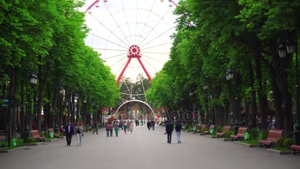 Menschen laufen mit Riesenrad durch Park — Stockvideo