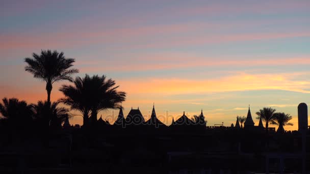 Laranja Sunset Sky Palm Tree View 4k — Vídeo de Stock