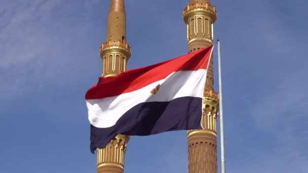 Bandera de Egipto en el fondo de la mezquita — Vídeo de stock