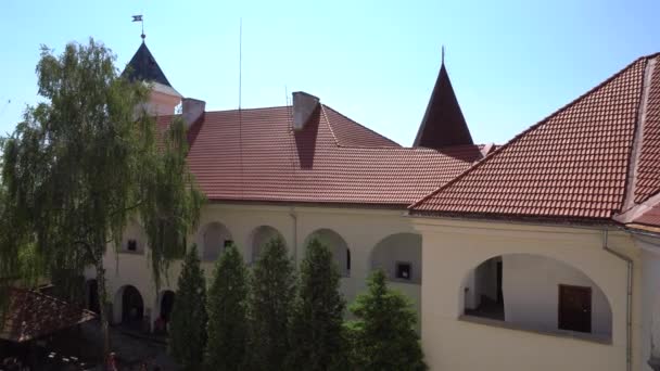 这座城堡的屋顶 — 图库视频影像