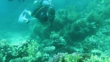 Tüplü dalgıçlar Yüzme mercan resif üzerinde