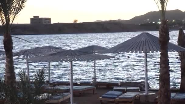 Praia tropical no raiar da aurora — Vídeo de Stock