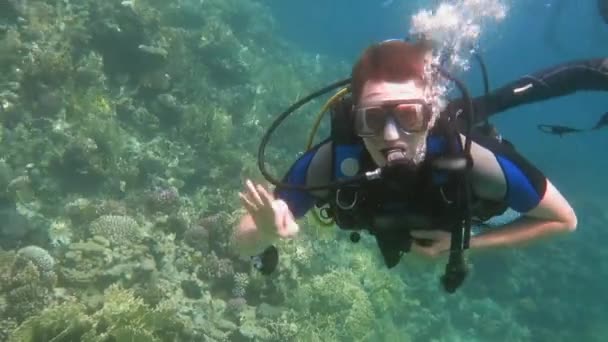 Впевнено Scuba Diver жестикулюючи під водою — стокове відео