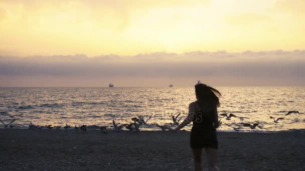 Mulher se divertindo ao ar livre na praia ao pôr do sol . — Vídeo de Stock