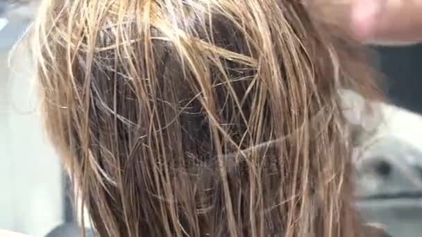 Stylist op het werk. Kapper werkt. Handen mannelijke stylist. Natte haren wordt gedroogd door haardroger. Mannenhand stylist met een haardroger. Kam door het haar, het haar gedragen wordt gedroogd door haardroger. — Stockvideo