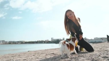 Genç yetişkin atletik kadın deniz kenarında küçük bir köpeği eğitiyor.