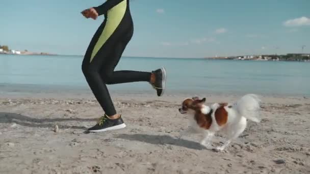 Treinamento de esportista adulto jovem com pouco cão ao ar livre — Vídeo de Stock