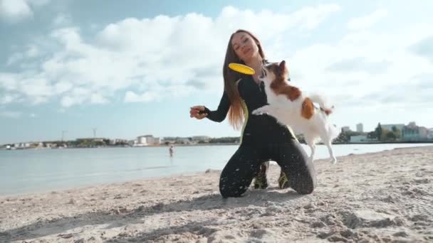 Jong volwassen atleet meisje spelen met weinig huisdier op het strand — Stockvideo