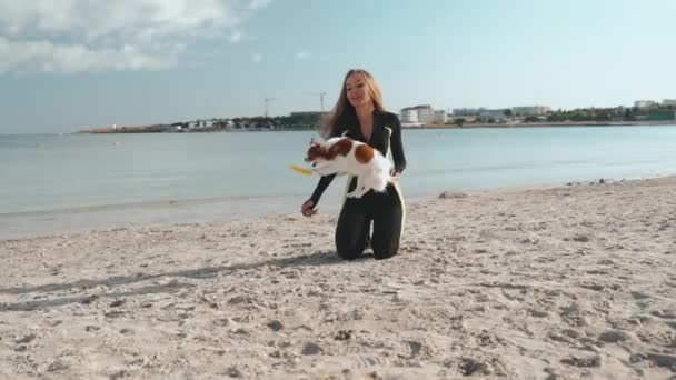 Jovem menina desportiva adulto jogando com pequeno animal de estimação na praia — Vídeo de Stock