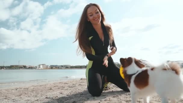 Joven atleta adulto chica jugando con poco perro al aire libre — Vídeo de stock