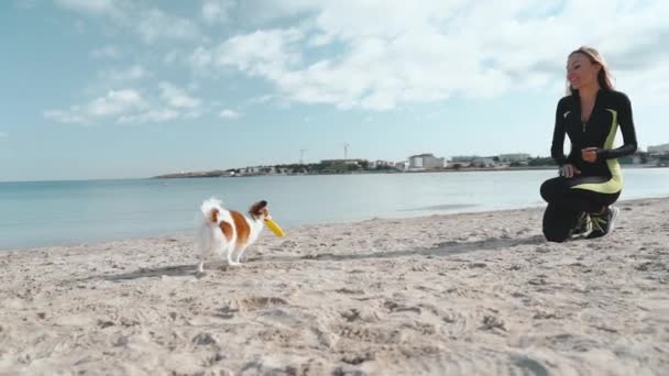 Junge erwachsene sportliche Frau verbringt Tag am Strand mit kleinem Hund — Stockvideo