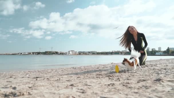 Junge erwachsene sportliche Frau spielt mit kleinem Hund im Freien — Stockvideo