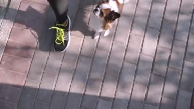Kaldırımda evcil hayvanla yürüyen genç bir kadın.