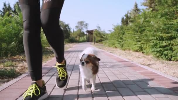 Joven mujer adulta pasando tiempo libre al aire libre junto con su mascota — Vídeos de Stock