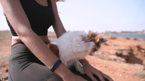 Genç yetişkin bir kadın evcil hayvanla dışarıda vakit geçiriyor. — Stok video