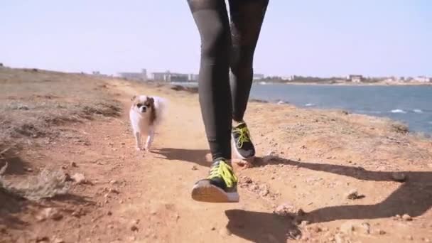 Fiatal felnőtt lány töltenek szabadidő szabadban együtt pet — Stock videók