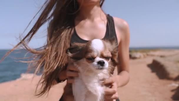 Jovem menina adulta segurando animal de estimação em mãos — Vídeo de Stock