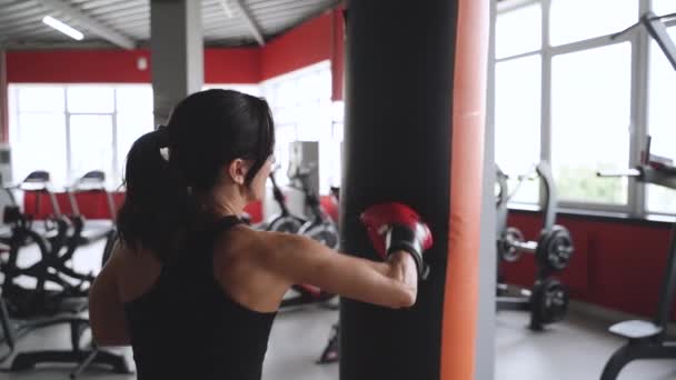 Genç sporcu kadın spor salonunda eğitim görüyor. — Stok video