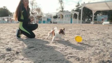 Genç ve sportif kız sahilde evcil hayvanla oynuyor.