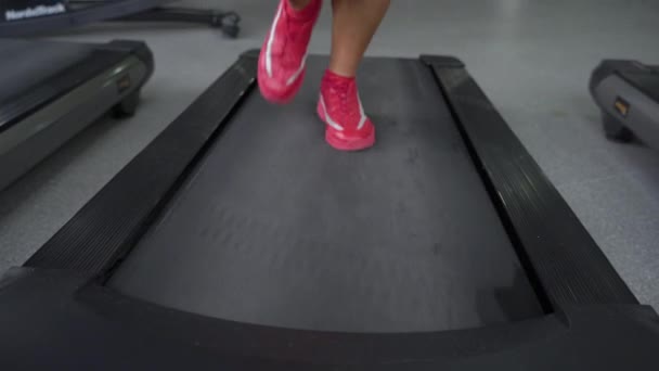 Joven mujer deportiva adulta haciendo ejercicio en el gimnasio — Vídeos de Stock