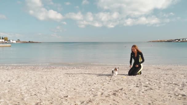 Junge erwachsene Sportlerin spielt mit kleinem Hund am Meer — Stockvideo