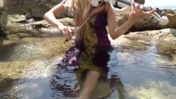 Ung vuxen violinist dam skapar inspirerad musik prestanda på violin — Stockvideo