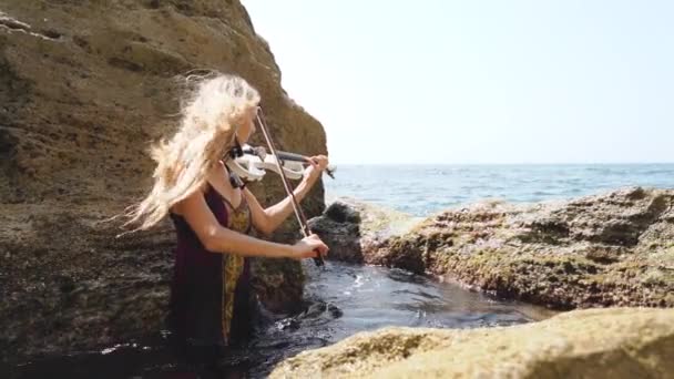 Young adult violinist lady playing beautiful and classical music on violin — Stock Video