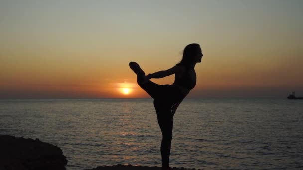 Young adult sportswoman standing in vertical split at one leg — 비디오