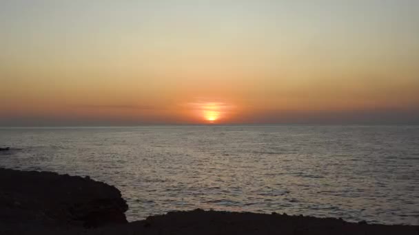 Ung vuxen flicka står nära havet, tittar på solnedgången — Stockvideo