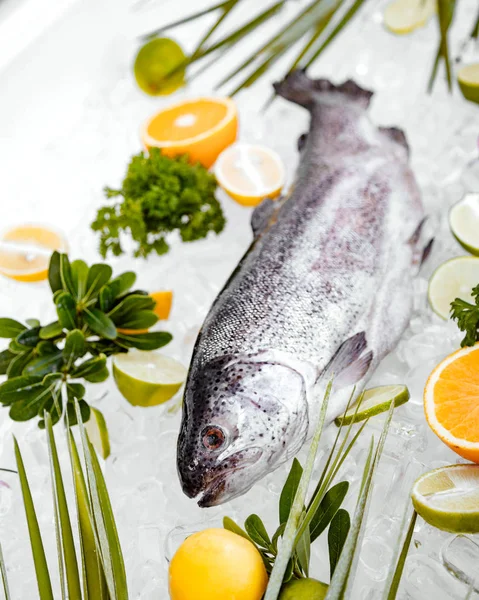 Close up of raw fish placed on ice surrounded with — Stock Photo, Image