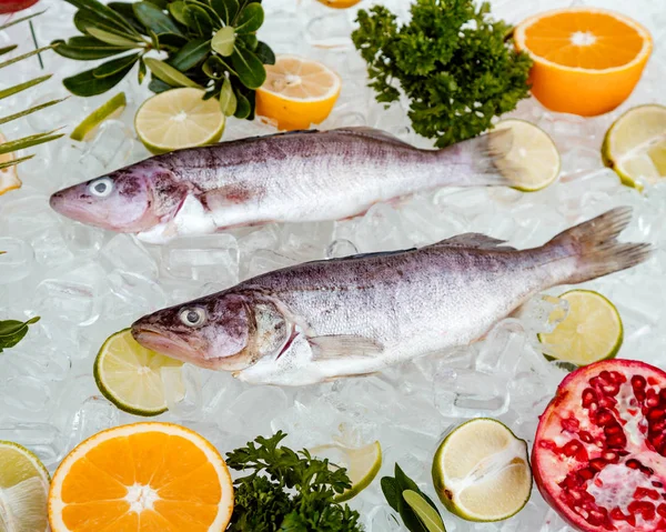 Top view of two raw fish placed on ice surrounded — Stock Photo, Image