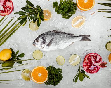 Etrafı buzla çevrili çiğ balık manzarası