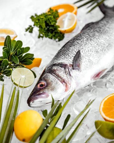 Close up of raw fish head on ice with fruit slices — Stock Photo, Image