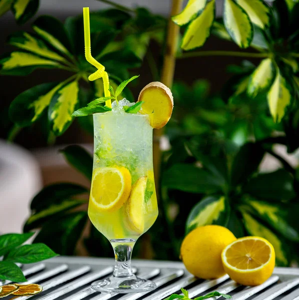 Iced mojito cocktail with lemon slices — Stock Photo, Image