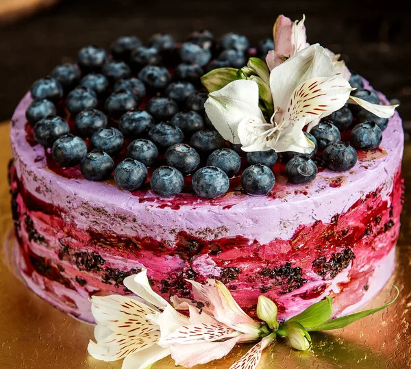 Side View Chocolate Cake Blueberry Cream — Stock Photo, Image