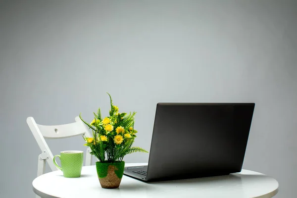 laptop plant and cup on the table