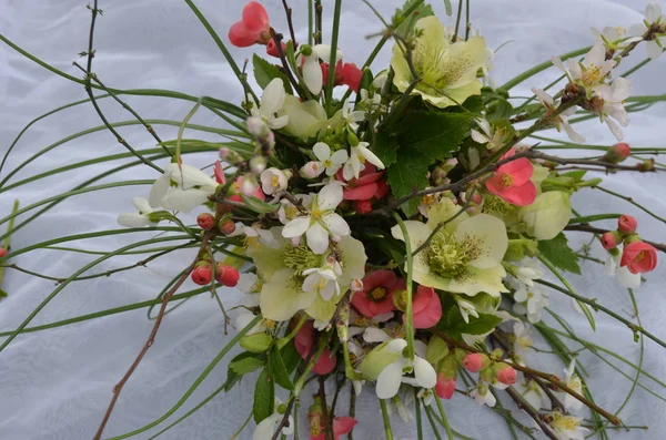 Bouquet of delicate flowers of snowdrops, hellebore and young cherry. flowers — Stock Photo, Image