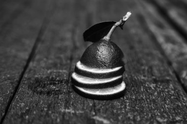 Rock tarzında modaya uygun çocuklar, parkta yürüyen müzisyenler.