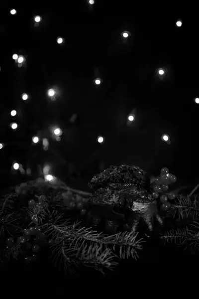 Κεκάκι Σοκολάτας Για Χριστούγεννα Διακοσμημένο Rowan Και Κλαδιά Πεύκου Φώτα — Φωτογραφία Αρχείου