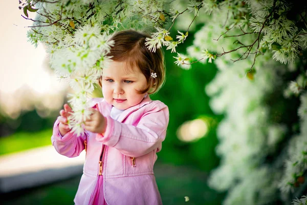 Ein Kleines Schönes Mädchen Rosa Kleidern Das Park Der Nähe — Stockfoto