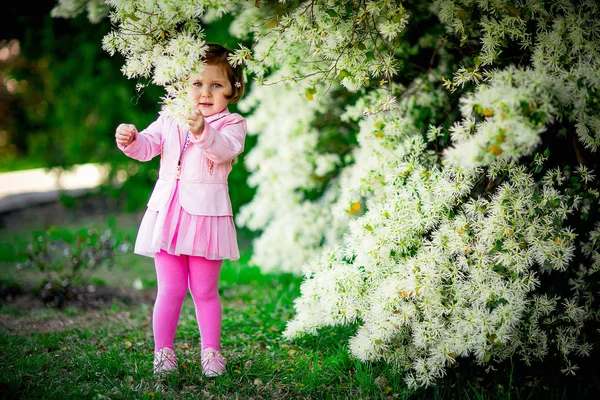 Uma Menina Pequena Bonita Roupas Rosa Andando Parque Perto Uma — Fotografia de Stock