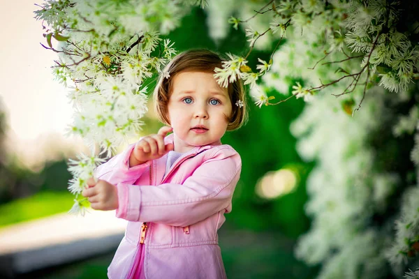 Ein Kleines Schönes Mädchen Rosa Kleidern Das Park Der Nähe — Stockfoto