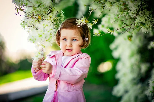 Uma Menina Pequena Bonita Roupas Rosa Andando Parque Perto Uma — Fotografia de Stock
